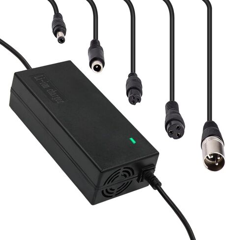 25.2V 29.4V 42V 54.6V Electric Bicycle Scooter e-Bike Battery Charger Li-ion Battery 24V 36V 48V 6S 7S 10S 13S in Saudi Arabia