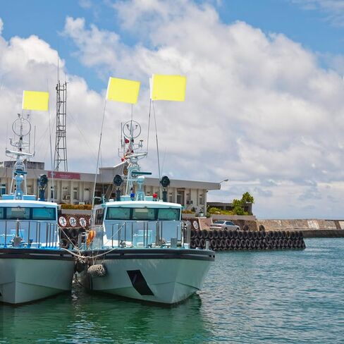 3pcs Yellow Quarantine Flag Blank Nautical Quarantine Message Flags Boat Flag for Marine Sailing Port Entry 20 x 14inches in Saudi Arabia