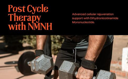 NMNH مضاد للشيخوخة والدعم الخلوي - 1000 مجم مع NAD+ ريسفيراترول، البربرين، كيرسيتين، مستخلص بذور العنب - 120 كبسولة in Saudi Arabia