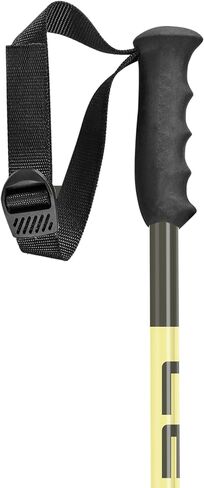 LEKI SWTCH Lightweight Aluminum Ski Poles for Downhill Skiing in Kuwait