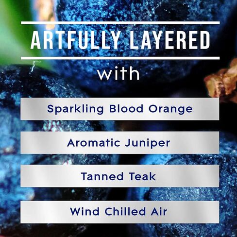 عبوة بخاخ أوتوماتيكية من جليد، معطر هواء للمنزل والحمام، العرعر وخشب الساج، مجموعة منعشة، 6.2 أونصة in Kuwait