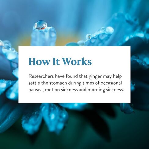 Nature's Sunshine Ginger، 100 كبسولة in Kuwait