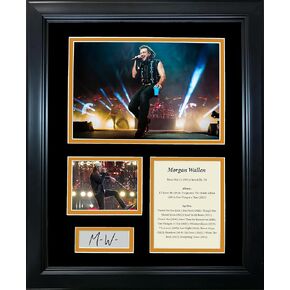 HOFSM.COM Hall of Fame Sports Memorabilia Framed Country Singer Discography Facsimile Laser Engraved Signature Auto 11"x14" Music Photo Sig Collage