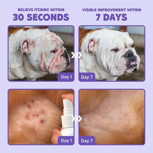 بخاخ لعلاج البقع الساخنة وتخفيف الحكة للكلاب والقطط، بخاخ علاج للحيوانات الأليفة للحكة والجلد المتهيج والحساسية والطفح الجلدي - العناية بالجروح بدون ألم ورذاذ آمن لللعق لجميع الحيوانات (3.4 أونصة سائلة) in Kuwait