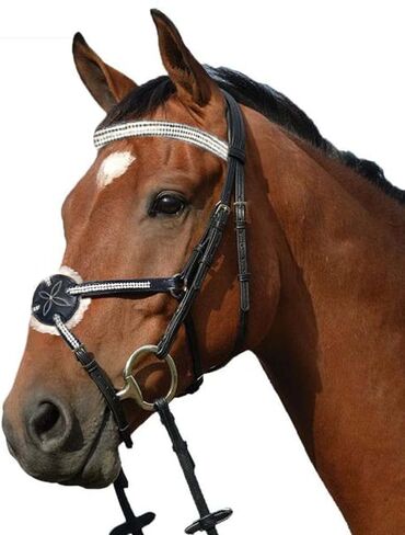 Wonder Care Top Grain Cowhide Leather English Bridle Snaffle Horse Bridle Noseband with Browband Horse Bit Bridle with Reins Bridles for Horses in Saudi Arabia