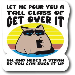 Pour A Tall Glass of Get Over It Oh, and Here's A Straw So You Can Suck It up 2 Pack, 4.5 in Funny Cat Vinyl Sticker PS774