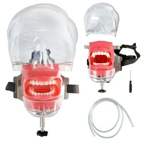 Dental Simulation Model Headband Fixed to Chair Stand, Interchangeable Typodont Tooth Model 360 Degree Adjustment, Suitable for Dental Education Demonstration and Training
