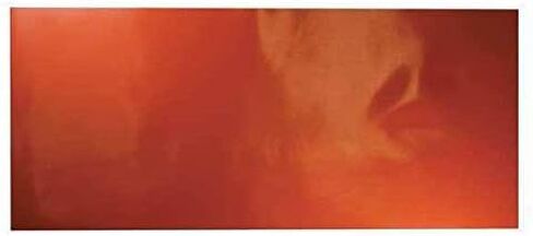 لوح مطاطي، سيليكون، عرض المطاط 36 بوصة، طول المطاط 12 بوصة، سمك المطاط 1/16 بوصة، 30 أمبير، دعم عادي in Kuwait