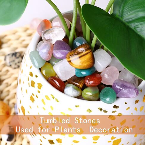 Natural Tumbled Stones and Crystal Bulk 10 OZ Amethyst Pilished Stones Set for Healing Reiki Meditation Home Decoration Stone Size 10-15MM in Kuwait