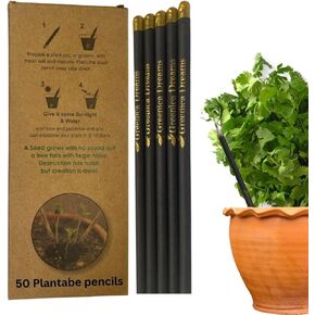 Eco Friendly Pencils Birthday Return Gift Corporate Gifting Writing Black Plantable Seed Pencil (Black, 50, Count)