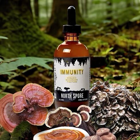 North Spore 4 oz. Organic Immunity Mushroom Tincture in Saudi Arabia