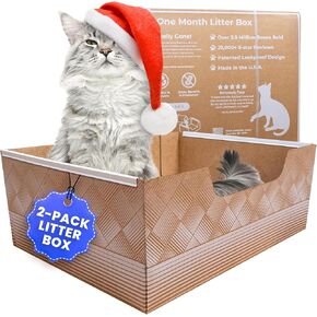 Leakproof Disposable 2-Pack Cat Litter Box - Unmatched Odor Control | Recyclable