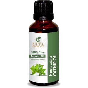 Catnip Oil (Nepeta Cataria) Essential Oil 100% Pure Natural Undiluted Uncut Therapeutic Grade Oil 0.16 Fl.OZ