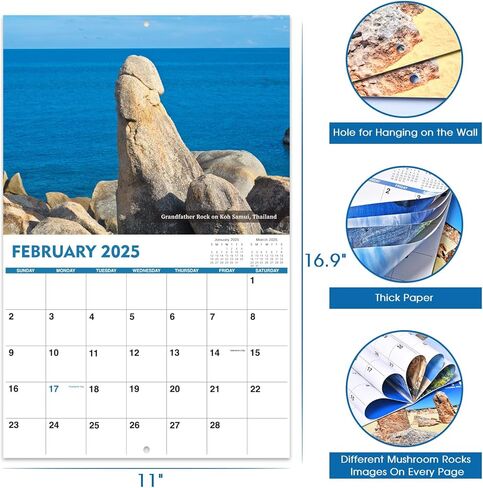 هدايا الكمامة - تقويم حائط 2024، كلاب الفيلة البيضاء المتبرزة، تقويم 2024 من يناير 2024 إلى ديسمبر 2024، 12 مخطط تقويم شهري، تقويم حائط 2024، تقويم مضحك للعائلة والأصدقاء in Kuwait