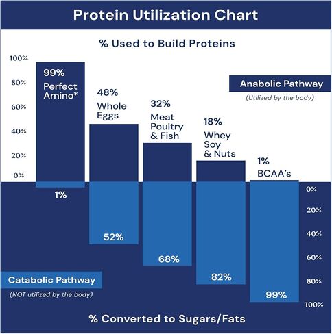 BodyHealth PerfectAmino Powder - BCAA and EAA Powder for Pre and Post Workout - Amino Acid Energy Drink Powder for Men and Women to Support Lean Muscle and Recovery - Chocolate - 20 Servings in Saudi Arabia