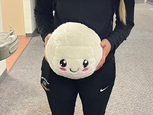 Sherpa Fleece Volleyball Plush, Indoor Volleyball Size Volleyball Pillow, Stuffed Volleyball Plush Pillow, cream white in Saudi Arabia