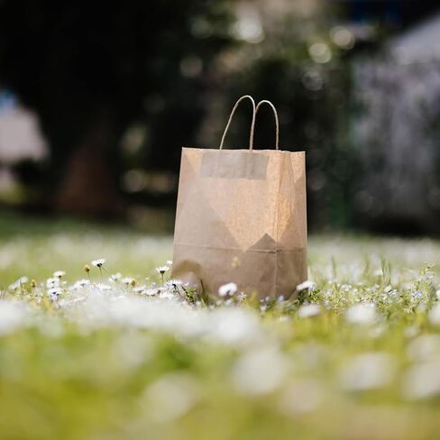 Brown Bags with Handles 10.5 x 8.25 x 4.75 in - Eco-Friendly Kraft Paper, Recycled Brown Gift Bags Ideal for Shopping & Arts and Crafts, Sturdy Stand-Up Design in Saudi Arabia
