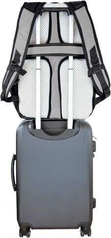 حقيبة ظهر فاخرة للكمبيوتر المحمول من Denco Minnesota Vikings مقاس 19 بوصة in Kuwait