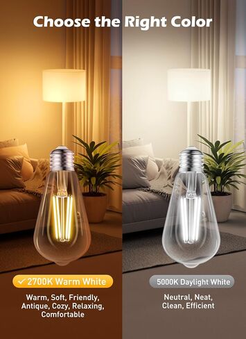 Brightown Vintage LED Edison Bulbs, 6W, Equivalent 60W, High Bright 2700K Warm White,750 Lumens, Non-Dimmable, E26 Medium Base ST58 Antique Filament Bulbs with 80+ CRI for Ceiling Fan Bathroom Porch in Kuwait
