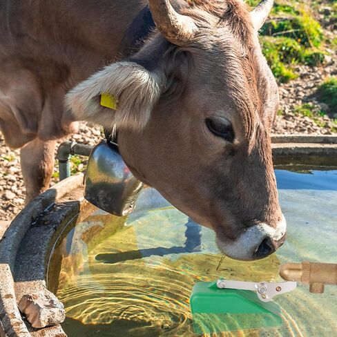 تعويم الكرة صمام النحاس مع 1/2 بوصة إمدادات أنبوب الذكور البلاستيك صمام تعويم المياه مع ذراع قابل للتعديل التلقائي ملء تغذية لحمام السباحة، خزان المياه، أحواض السمك، حوض مياه الماشية (4 حزمة، الأخضر) in Kuwait