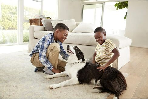 Filtrete 12x24x1 Air Filter, MPR 1500, MERV 12, Healthy Living Ultra-Allergen 3-Month Pleated 1-Inch Air Filters, 4 Filters in Kuwait