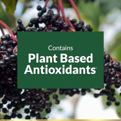 مكمل غذائي عشبي من Nature's Bounty Sambucus Elderberry، كبسولات هلامية سريعة الإصدار، 630 مجم لكل جرعة، 120 قطعة in Saudi Arabia