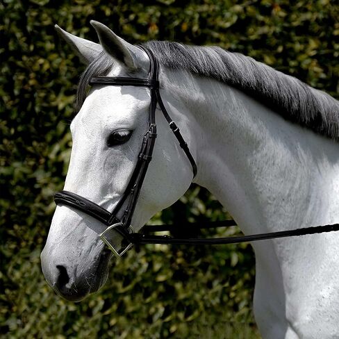 Wonder Care Top Grain Cowhide Leather English Bridle Snaffle Horse Bridle Noseband with Browband Horse Bit Bridle with Reins Bridles for Horses in Saudi Arabia
