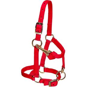 Weaver Equine Miniature Horse Adjustable Chin and Throat Snap Halter, 5/8" Large