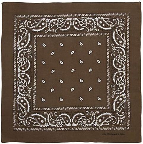 Large 100% Cotton Paisley Bandanas (22 inch x 22 inch) in Kuwait