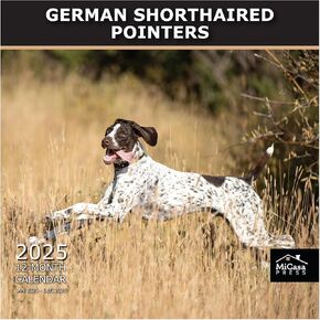 MICASA German Shorthaired Pointers 2023 Hangable Monthly Wall Calendar | 12" x 24" Open | Thick & Sturdy Paper | Giftable | Cute Dog | The Iconic Hunting Dog