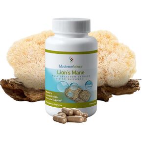 Lions Mane, 90 Count