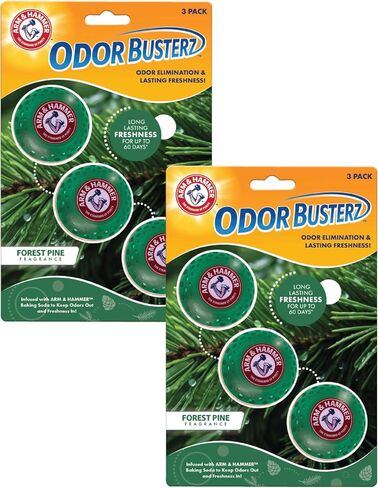 A&H Odor BusterZ Forest Pine 6pk Blister in Saudi Arabia