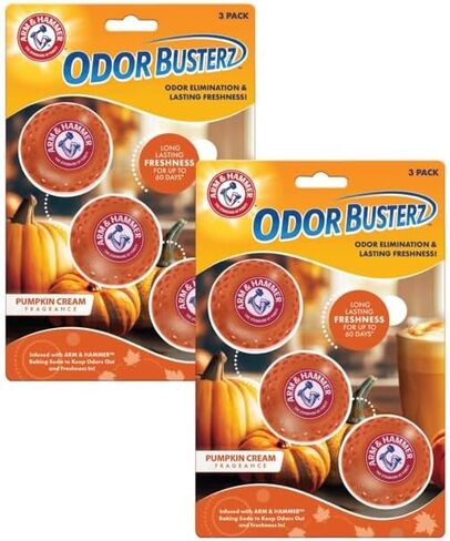 A&H Odor BusterZ Forest Pine 6pk Blister in Saudi Arabia