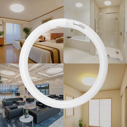 FC12T9/DL 32 Watts T9 Circline Fluorescent Light Bulb, 6500K Daylight, 12 Inch Round Fluorescent Bulb, 2250 Lumens, G10q 4 Pin Base, Circular Fluorescent Replacement Bulb - 2 Pack in Saudi Arabia