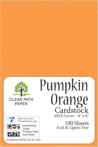 Pumpkin Orange Cardstock - 4 x 4 inch - 65Lb Cover - 100 Sheets - Clear Path Paper in Saudi Arabia