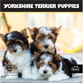 MICASA Jack Russell Terriers 2024 Hangable Monthly Wall Calendar | 12" x 24" Open | Thick & Sturdy Paper | Giftable | Cute Dog | Next-Level Adorable