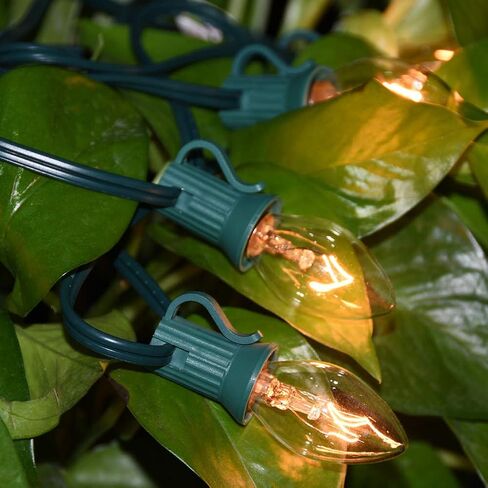 GOOTHY 25 Pack C7 Clear Replacement Bulbs, C7 Clear Light Bulbs for Christmas Outdoor Patio Indoor String Lights, C7/E12 Candelabra Base, 5 Watt Night Light Bulbs- Clear in Saudi Arabia