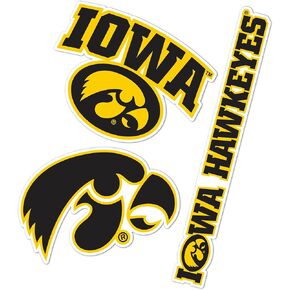 Desert Cactus University of Iowa Stickers Hawkeyes Vinyl Decals Laptop Water Bottle Car Scrapbook T5 (Type 5-1)