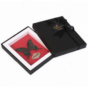 Wall Art Decoration Real Butterfly Framed Butterfly Taxidermy - Butterfly Picture Frame, Real Butterfly Specimen Framed gift Elegant Souvenirs (black butterfly frame)