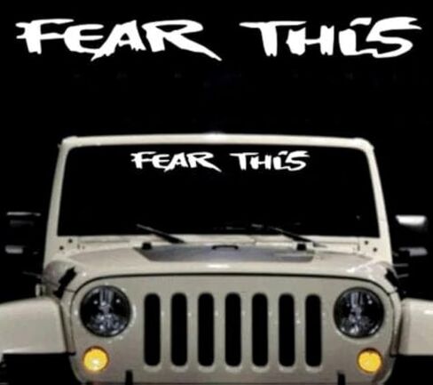 STICKY DUDE Windshield Decal Banner Sticker 20" x 3" (Fear) in Saudi Arabia