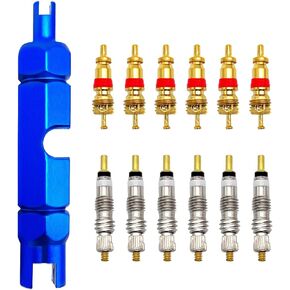 Medsuo Bicycle Valve Core Remover Tool Kit Universal Bike and Car Valve Core Repair Tightening Tool and 12pcs Valve Cores Replacement Compatible with Presta and Schrader Valve - Blue