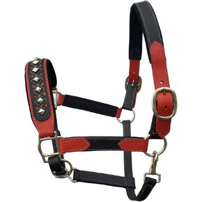 Darlington Luxury Leather Horse Show Halter in Premium Bridle Leather with Soft Suede Leather Padding and Fancy Western Design