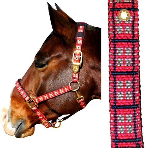 Intrepid International Plaid Nylon Padded Horse Halter in Saudi Arabia