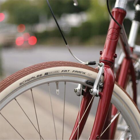 Schwalbe Fahrrad Reifen Fat Frank SBC // alle Größen + Farben in Kuwait