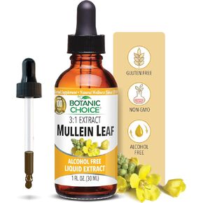 Botanic Choice Mullein Leaf Liquid Extract, Alcohol Free, Gluten Free, Traditional Respiratory Support 1 Fl. Oz.