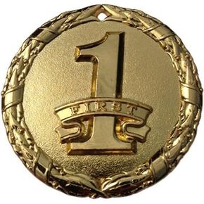 Gold 1st Place Medal Award Trophy Champion Participant Award Prize with Neck Ribbon (Pack of 1) First Trophies Medals Awards