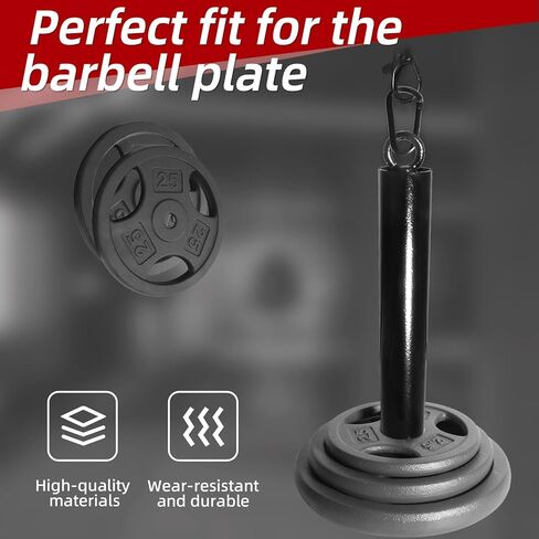 Loading Pin for Weight Plates: Weight Loading Pin with Carabiner Fit 1 inch Olympic Weight Plate for Cable Pulley LAT Pulldown in Kuwait