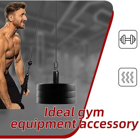 Loading Pin for Weight Plates: Weight Loading Pin with Carabiner Fit 1 inch Olympic Weight Plate for Cable Pulley LAT Pulldown in Kuwait