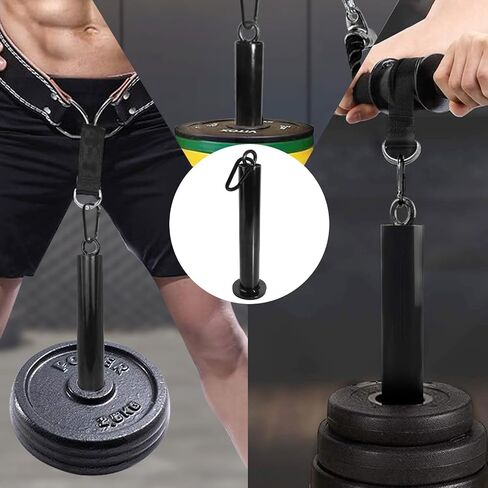 Loading Pin for Weight Plates: Weight Loading Pin with Carabiner Fit 1 inch Olympic Weight Plate for Cable Pulley LAT Pulldown in Kuwait