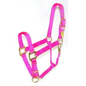 Hamilton 1-Inch Nylon Halter with Adjustable Chin, Hot Pink - Average Size
